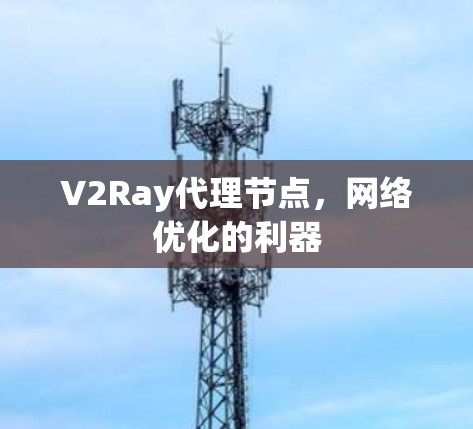 V2Ray代理节点,网络优化的利器 V2Ray代理节点,网络优化的利器