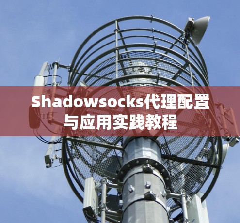 Shadowsocks代理配置与应用实践教程