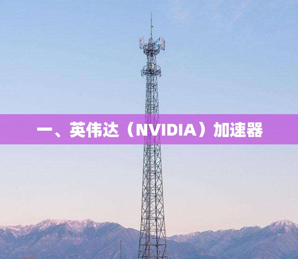 一、英伟达（NVIDIA）加速器