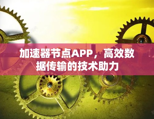 加速器节点APP,高效数据传输的技术助力