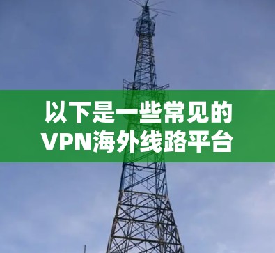 以下是一些常见的VPN海外线路平台和一些推荐