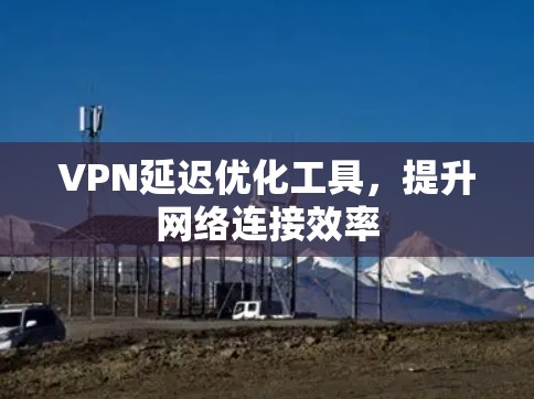 VPN延迟优化工具，提升网络连接效率
