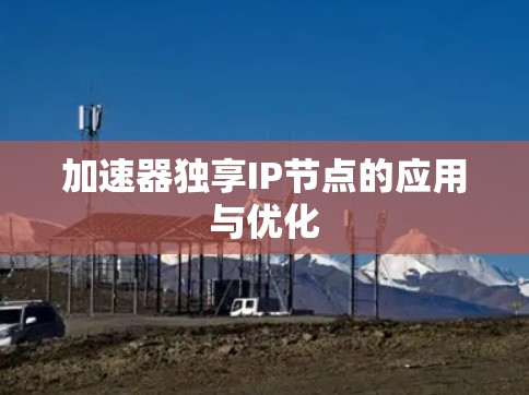 加速器独享IP节点的应用与优化