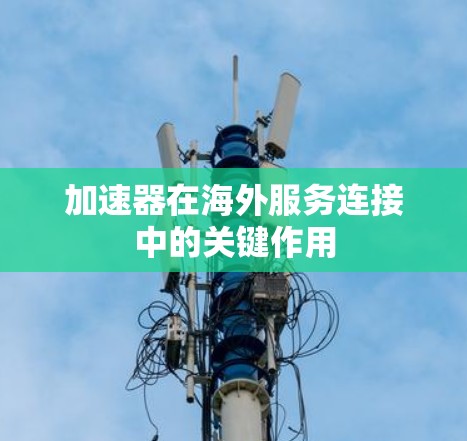 加速器在海外服务连接中的关键作用 加速器在海外服务连接中的关键作用