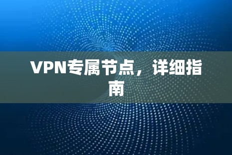 VPN专属节点,详细指南 VPN专属节点,详细指南
