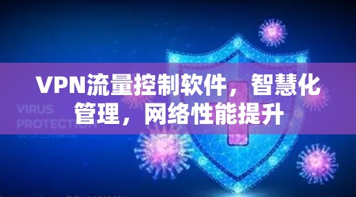 VPN流量控制软件,智慧化管理,网络性能提升 VPN流量控制软件,智慧化管理,网络性能提升