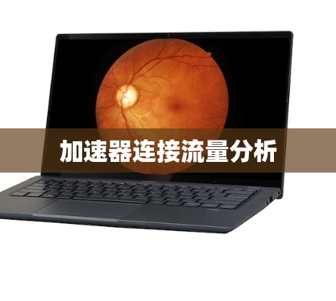 加速器连接流量分析