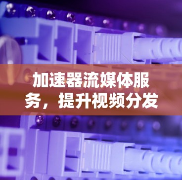 加速器流媒体服务，提升视频分发效率与用户体验