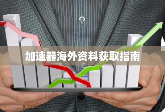 加速器海外资料获取指南
