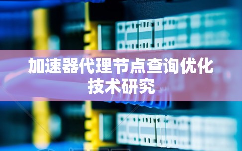 加速器代理节点查询优化技术研究