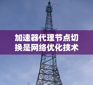 加速器代理节点切换是网络优化技术中的一部分,旨在动态调整代理节点以确保数据传输效率和性能。以下是对该过程的详细分析和总结