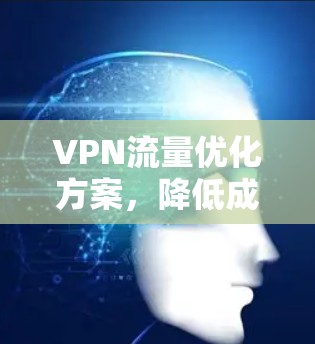 VPN流量优化方案，降低成本、提升效率