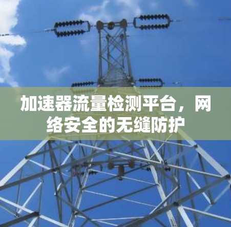 加速器流量检测平台，网络安全的无缝防护