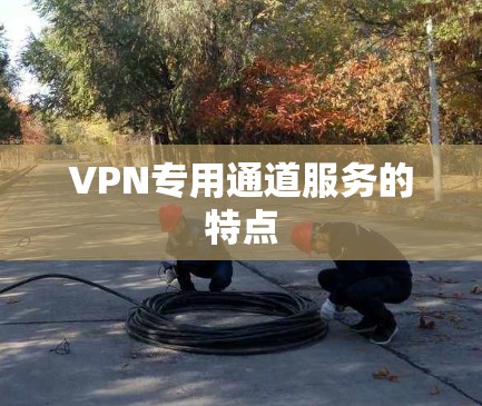 VPN专用通道服务的特点