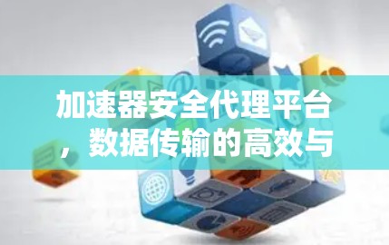 加速器安全代理平台，数据传输的高效与安全保障