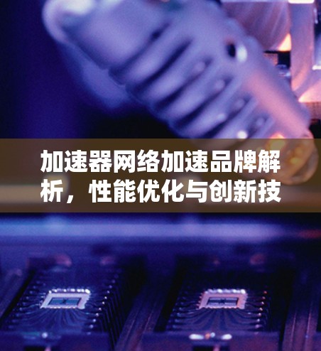 加速器网络加速品牌解析，性能优化与创新技术应用