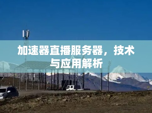 加速器直播服务器,技术与应用解析