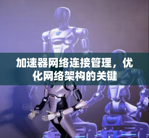 加速器网络连接管理,优化网络架构的关键 加速器网络连接管理,优化网络架构的关键
