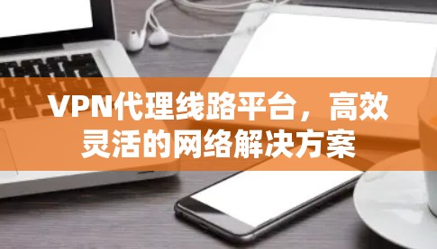 VPN代理线路平台,高效灵活的网络解决方案