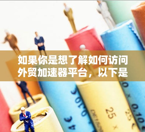 如果你是想了解如何访问外贸加速器平台,以下是一些可能的步骤和信息