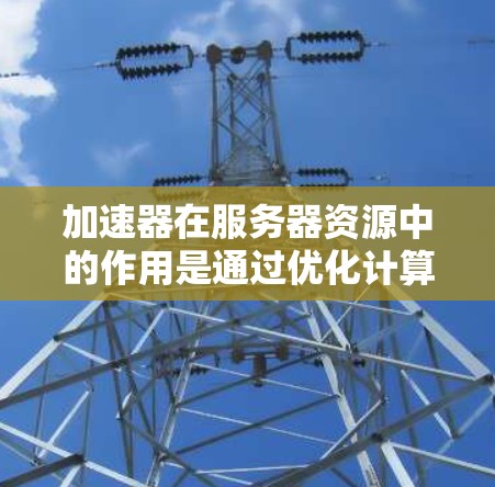 加速器在服务器资源中的作用是通过优化计算性能来提升整体效率，适用于处理密集型任务的环境。以下是对加速器的详细分析和结论