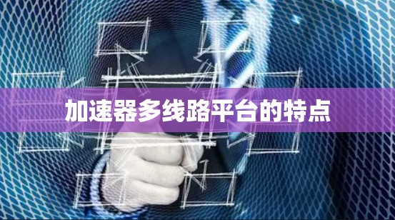 加速器多线路平台的特点
