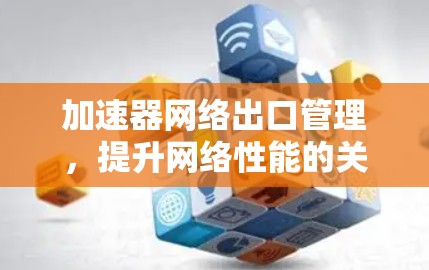加速器网络出口管理，提升网络性能的关键技术