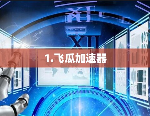 1.飞瓜加速器