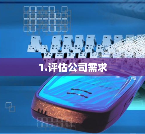 1.评估公司需求