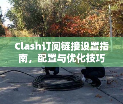 Clash订阅链接设置指南,配置与优化技巧