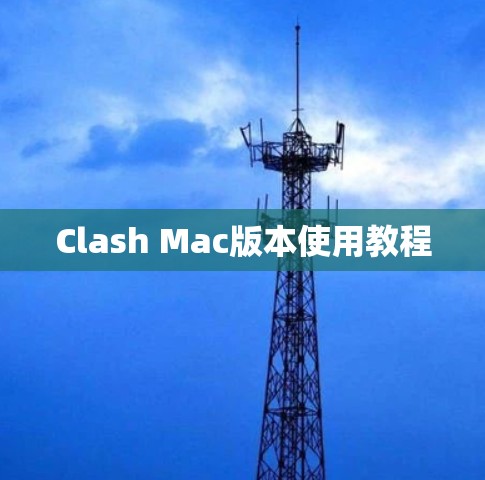 Clash Mac版本使用教程