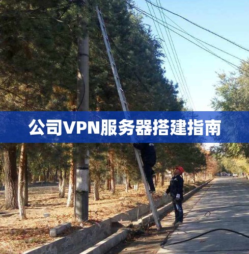 公司VPN服务器搭建指南