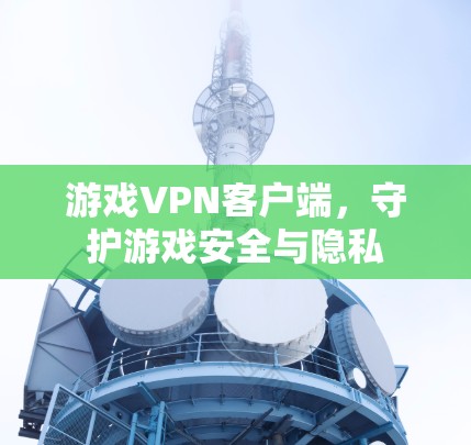 游戏VPN客户端,守护游戏安全与隐私