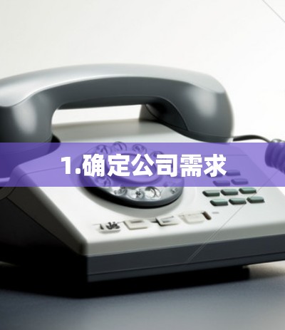 1.确定公司需求
