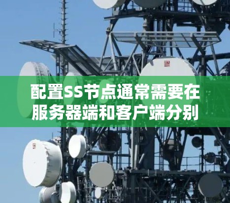 配置SS节点通常需要在服务器端和客户端分别进行设置。以下是详细的步骤指南