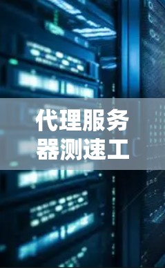代理服务器测速工具,性能评估与优化