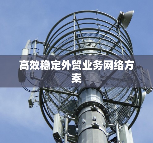 高效稳定外贸业务网络方案