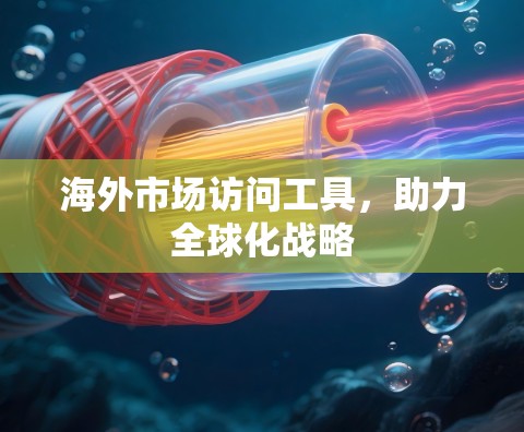 海外市场访问工具,助力全球化战略