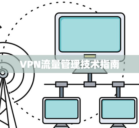 VPN流量管理技术指南