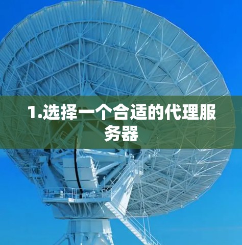 1.选择一个合适的代理服务器