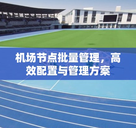 机场节点批量管理,高效配置与管理方案