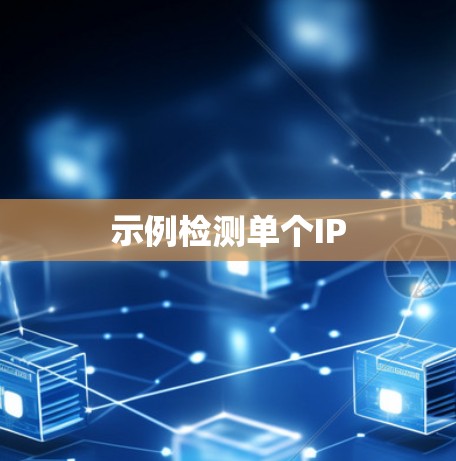 示例检测单个IP