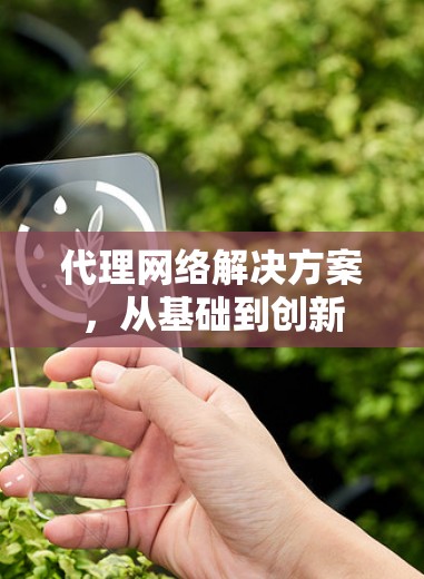 代理网络解决方案,从基础到创新