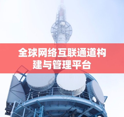 全球网络互联通道构建与管理平台