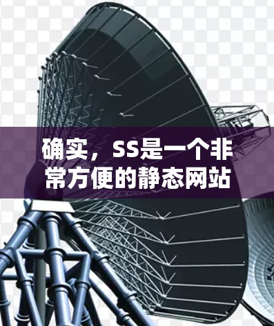 确实,SS是一个非常方便的静态网站生成器,适合快速搭建网页。以下是使用SS的详细步骤指南