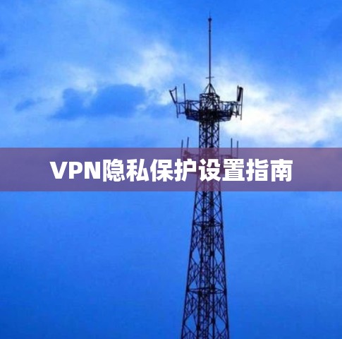 VPN隐私保护设置指南