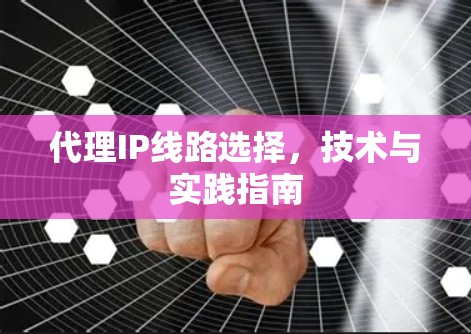 代理IP线路选择,技术与实践指南