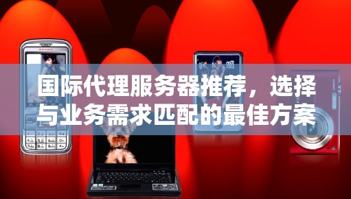 国际代理服务器推荐，选择与业务需求匹配的最佳方案