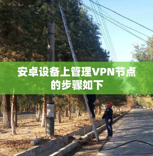 安卓设备上管理VPN节点的步骤如下