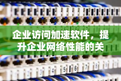 企业访问加速软件，提升企业网络性能的关键解决方案